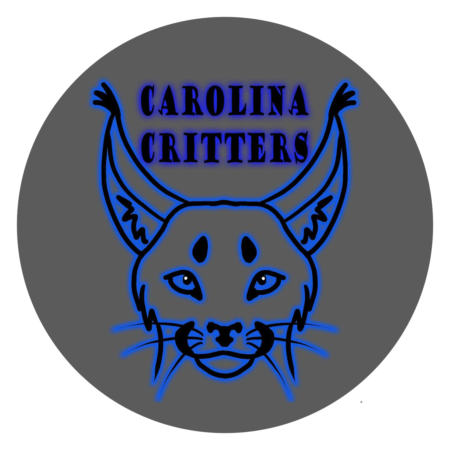 Carolina Criters Fursuits home page